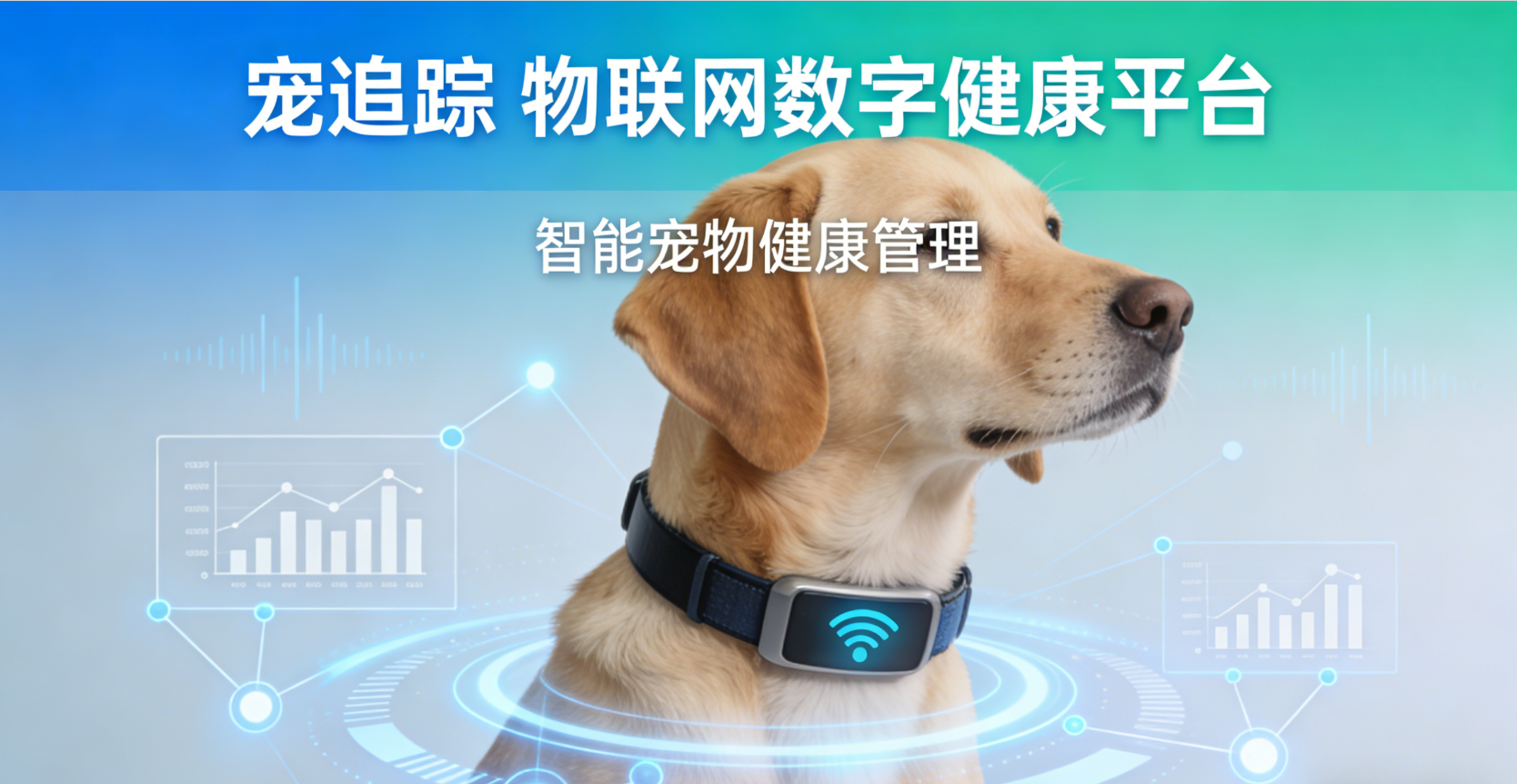 宠追踪 物联网数字健康平台